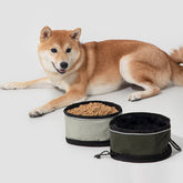 Portable Folding Waterproof Pet Bowl - Dual Use for Food and Water, main image
